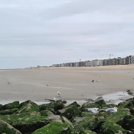 Apartamento Near Koksijde By The Sea, Cleaning Included