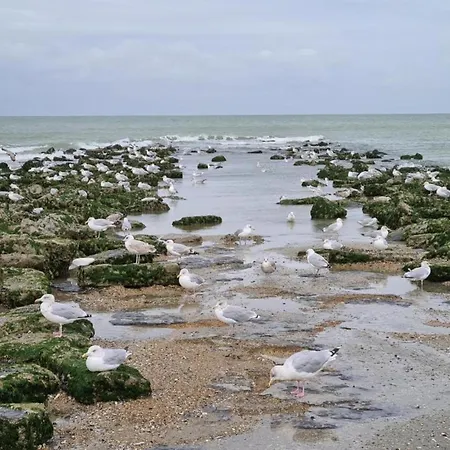 Near Koksijde By The Sea, Cleaning Included *