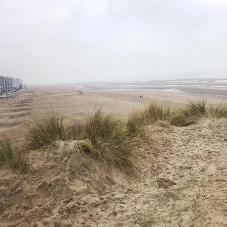 Near Koksijde By The Sea, Cleaning Included Apartamento