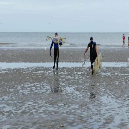 Near Koksijde By The Sea, Cleaning Included Apartamento Sint-Idesbald