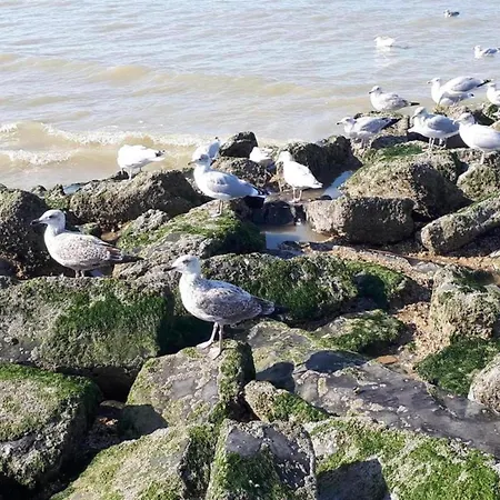 Near Koksijde By The Sea, Cleaning Included Apartamento Sint-Idesbald